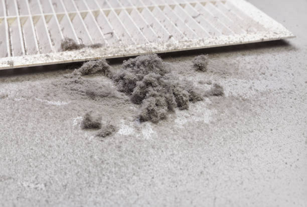 Best Professional Duct Cleaning Services  in Luling, LA